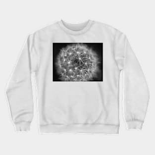 Dandelion Crewneck Sweatshirt